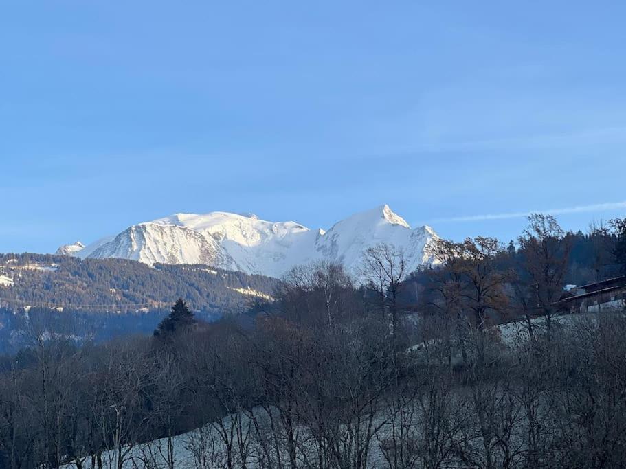 Duplex 3 Chambres Vue Mont-Blanc Domancy 외부 사진