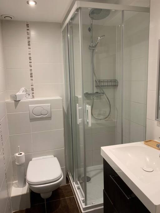 Duplex 3 Chambres Vue Mont-Blanc Domancy 외부 사진